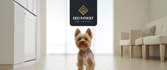 Podłoga drewniana a zwierzęta domowe