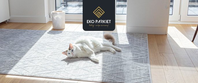 Wpływ promieniowania UV na podłogi drewniane – jak zabezpieczyć powierzchnię?