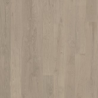 Dąb Szary - deska klasyczna