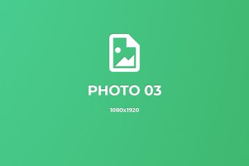 Pellentesque accumsan tortor id