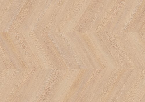 Dąb Berlin - chevron