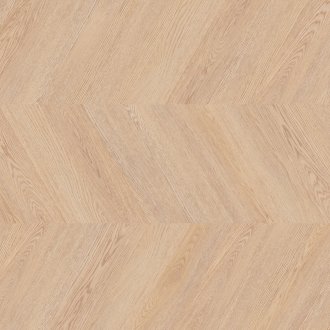 Dąb Berlin - chevron