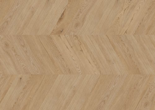 Dąb Dublin - chevron