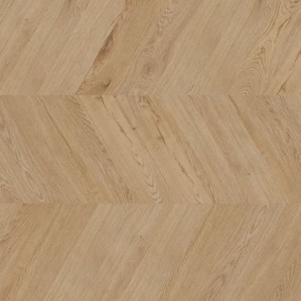 Dąb Dublin - chevron