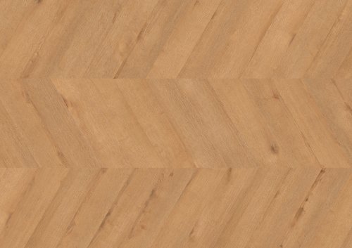 Dąb Hamburg - chevron