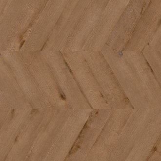 Dąb Washington - chevron