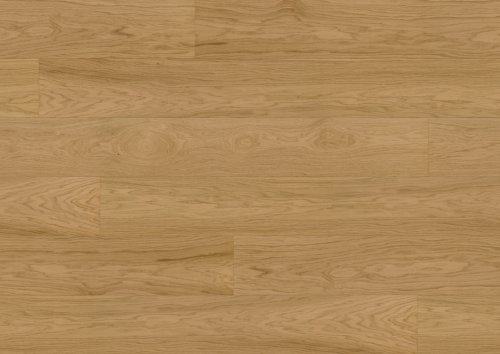 Dąb Capitol Reef EVO