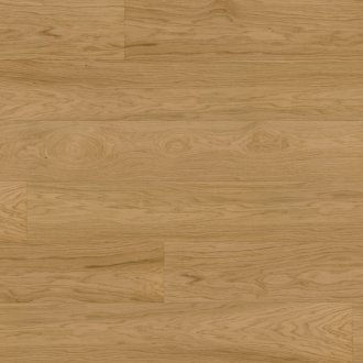 Dąb Capitol Reef EVO