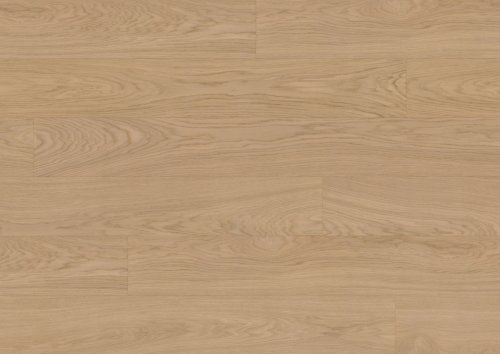 Dąb Nordens Ark EVO