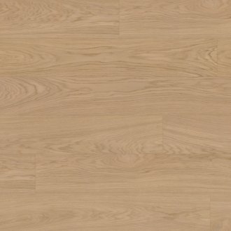 Dąb Nordens Ark EVO