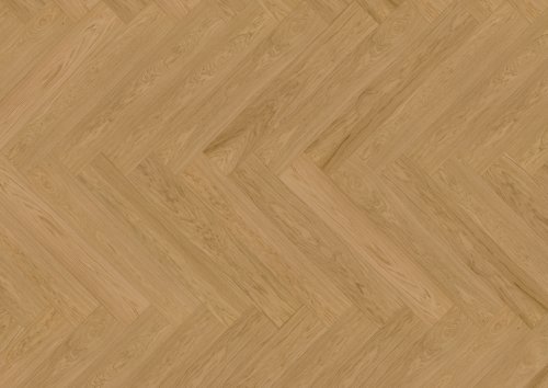 Dąb Gascogne (Capitol Reef) EVO - jodełka