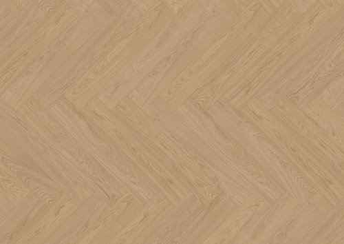 Dąb Spessart (Nordens Ark) EVO - jodełka