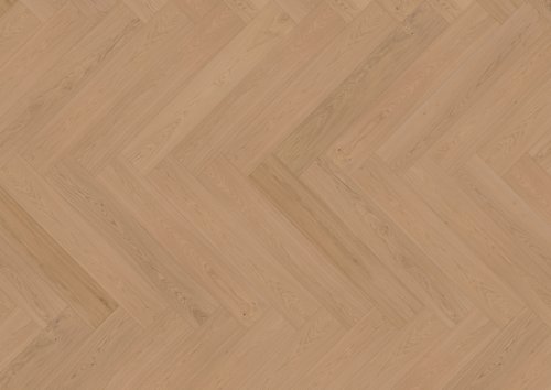 Dąb Tayrona (Pirin) EVO - jodełka