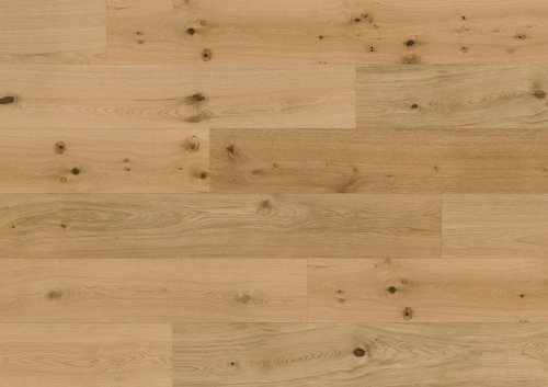 Dąb Caledonian Forest OLIO