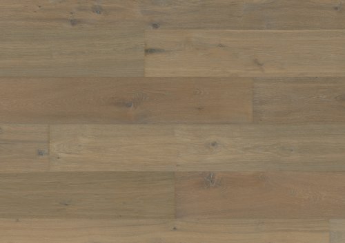 Dąb Great Basin OLIO