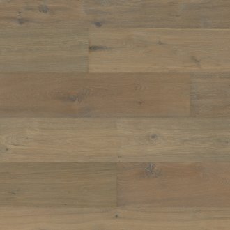 Dąb Great Basin OLIO