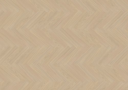 Dąb Morvan (Outer Banks) OLIO - jodełka