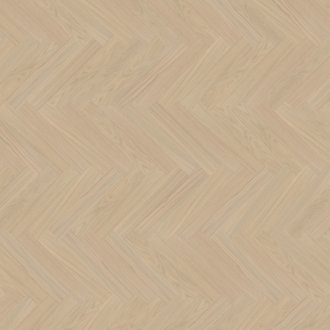 Dąb Morvan (Outer Banks) OLIO - jodełka