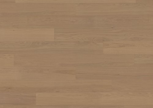 Dąb Thousand Islands OLIO