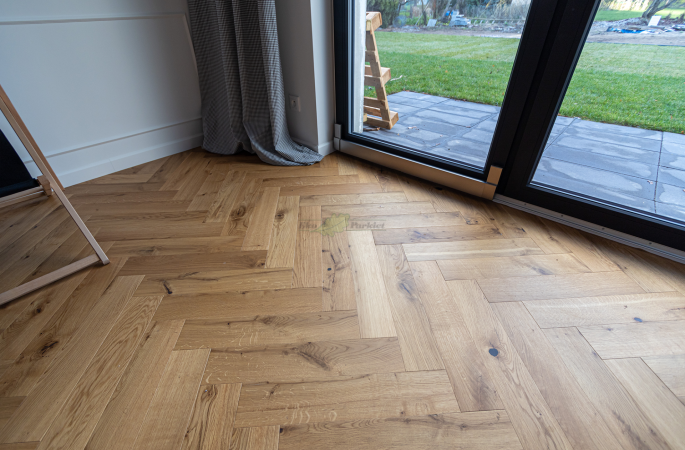 Parkiet Hajnówka: Dąb Sahara 'R' - jodła klasyczna