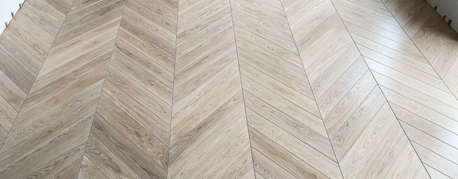 Parkiet Hajnówka: Dąb barwiony indywidualnie