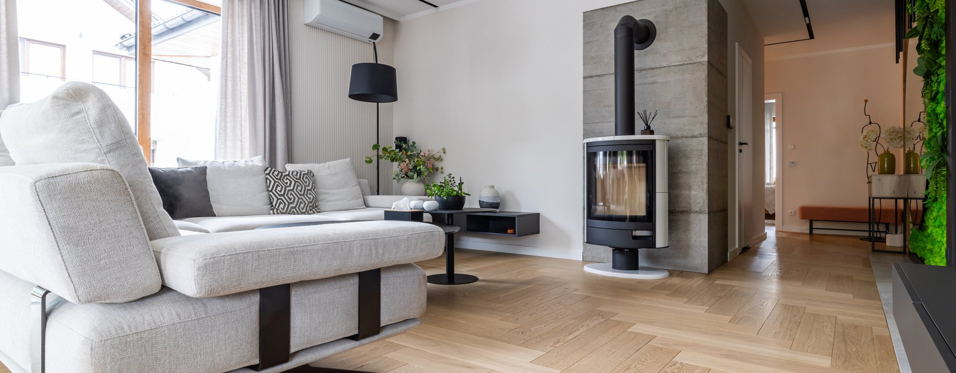 Parkiet Hajnówka: Dąb Kastor 'ST' - jodła klasyczna