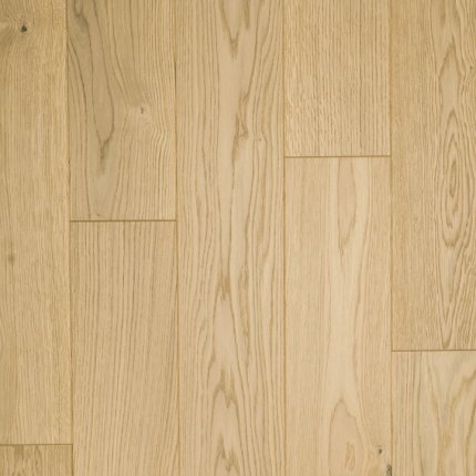 Gray World - Dąb Bahamy