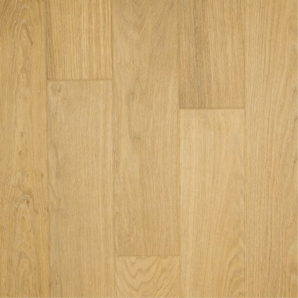 Gray World - Dąb Madagaskar