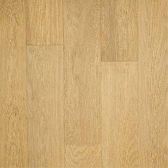 Gray World - Dąb Madagaskar