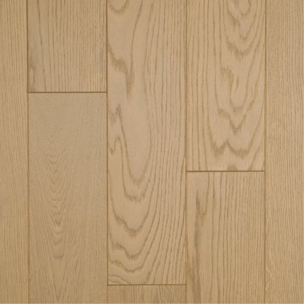 Gray World - Dąb Zanzibar