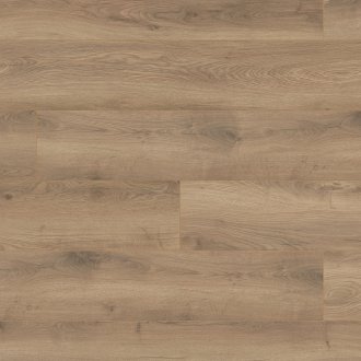 Dureco Strong - Dąb Arousa 1101260036