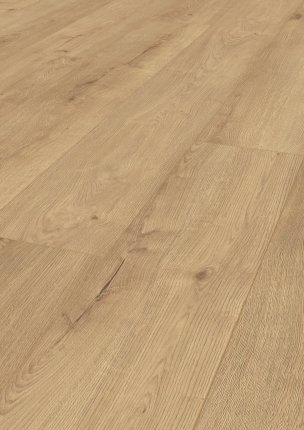 Iko - Dąb Music Store 1101021846