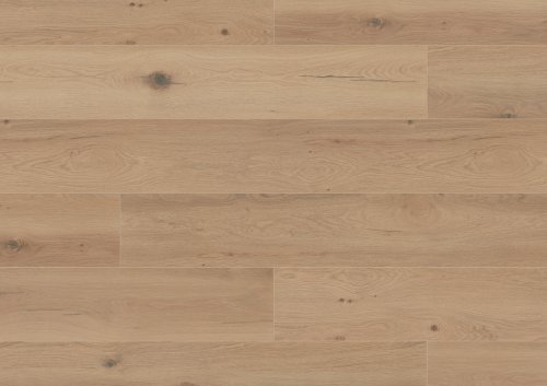 Dureco Silent - Dąb Palau 1101330008