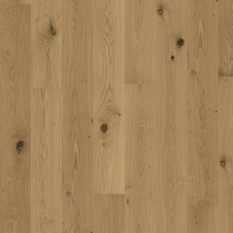 Flora Collection: Aster olej