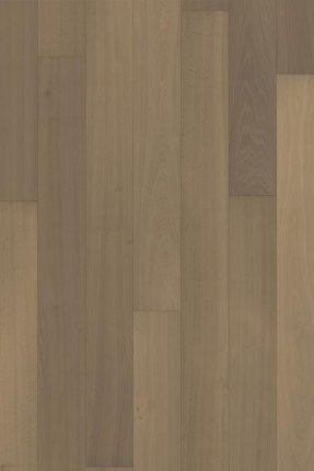 Capital Collection: Berlin