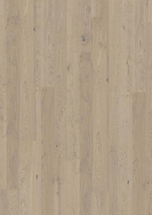 Lux Collection: Coast