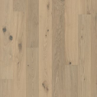 Flora Collection: Edelweiss