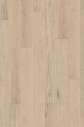 Sand Collection: Estoril