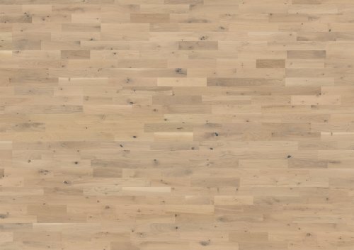 Beyond Retro Collection: Frosted Oat Strip