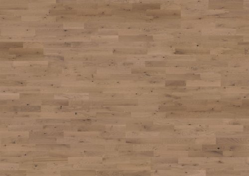 Beyond Retro Collection: Frozen Hazelnut Strip