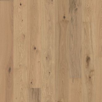 Flora Collection: Gentian