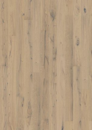 Founders Collection: Gustaf