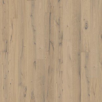 Founders Collection: Gustaf