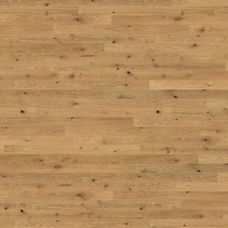 Canvas Collection: Etch