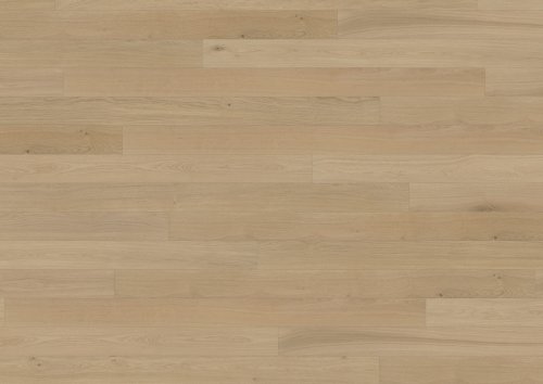 Canvas Collection: Fawn