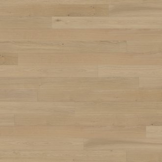 Canvas Collection: Fawn