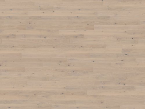 Canvas Collection: Mostra