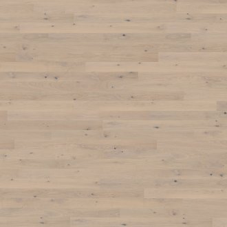 Canvas Collection: Mostra