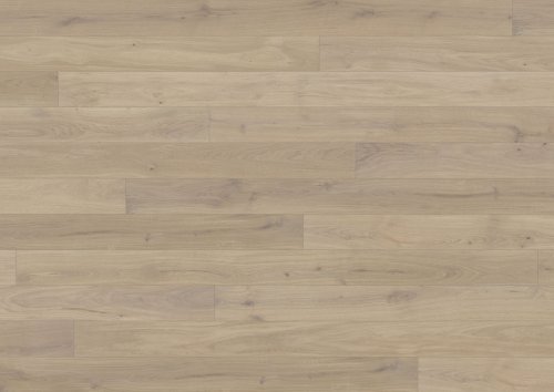 Canvas Collection: Muse