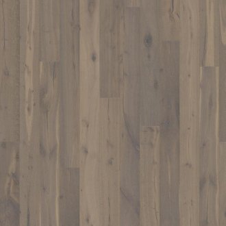 Founders Collection: Sture